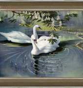 Levron - Swans