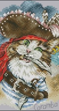 Pirate Cat by Elena Lartsova