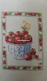 Strawberry and Butterfly.