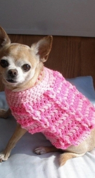 Ozarknomad - Toni Lansing - Cotton Candy Dog Sweater