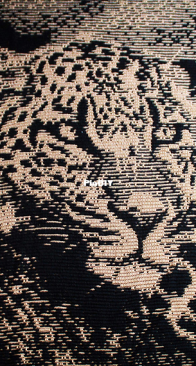 Crazy Crochet Cat Lady - Anke Wintermans - Spotted