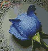 JingXin JX-H-142 Blue rose