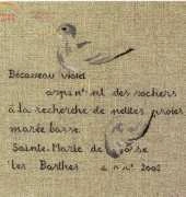 Becasseau violet from Les Oiseaux MTSA PCS