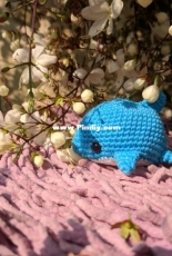Little Whale