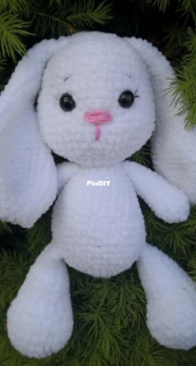 Bunny