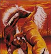 Horses from Nastunya 28