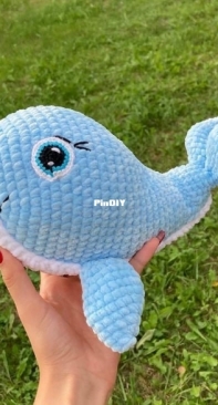 whale