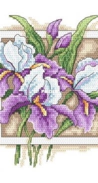Coricamo GC 10314 Stately Irises