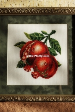 Pomegranate - DOME