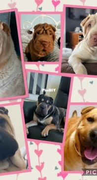 All of our babies