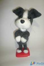 puppy