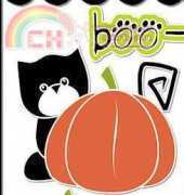 Black cat boo