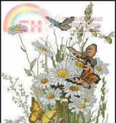 Daisies and Butterflies by Donna Vermillion Giampa xsd