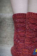 Neely OHara Socks by Liz Abinante -Free
