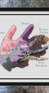 Stages of Decay / Decayed Hand by Drooling Moose Designs