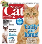Your Cat-October-2014