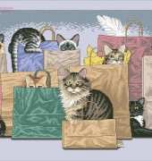 Dimensions - Sunset 13662 Bag Ladies XSD