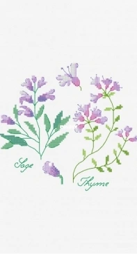 DMC - Herbs - Thyme