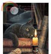 HAED HAELIP 2021 The Witching Hour (Large Format) By Lisa Parker