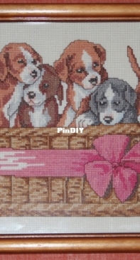Puppies