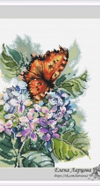 Hydrangea by Elena Lartsova