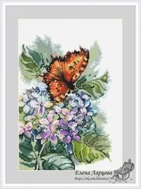Hydrangea by Elena Lartsova