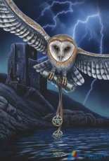 HAED HAELIP 21369 Heart Of The Storm by Lisa Parker