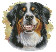 BananiStitchery  Bernese mountain dog II XSD