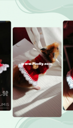 Santa costume for hamster