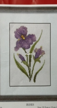 Anchor PCE529 Irises XSD