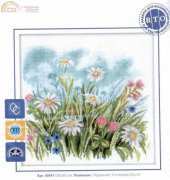 RTO M141 - Daisies