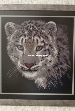 Snow leopard