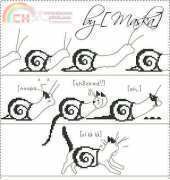 Transformacion