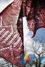 Dreams of Madeira Shawl by Arlenes World of Lace-English-Free