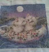 Honeymoon boat