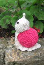 snail