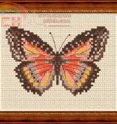 Megat 831 - Red Butterfly