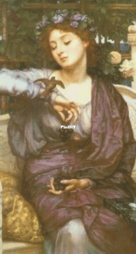Golden Kite - GK 1282 Lesbia and her Sparrow
