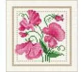 Ellen Maurer Stroh EMS - Flower of the Month - April - Sweet Pea PCS