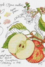 Botany Series -  by Alla Erokhova - Apple xsd