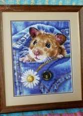 Hamster in a pocket