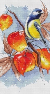 Svetlana Ostapenko- First frost