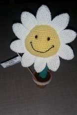 White flower