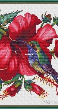 Hibiscus and Hummingbird by Viktoriia Pakhomova XSD