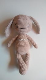 bunny with long ears