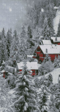 Chimera- Snow town