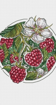 Raspberry Botany by Alisa Okneas SAGA