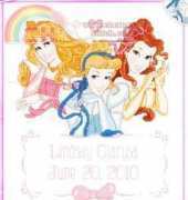 Janlynn 0001138-94 Princess birth announcement