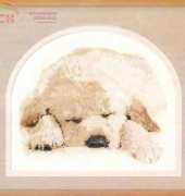 RTO R141 Dog