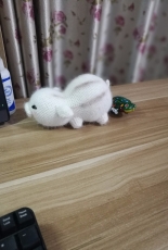 Piggy